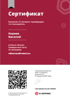 Многосайтовость